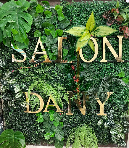Image représentant LE SALON DANY, page salon